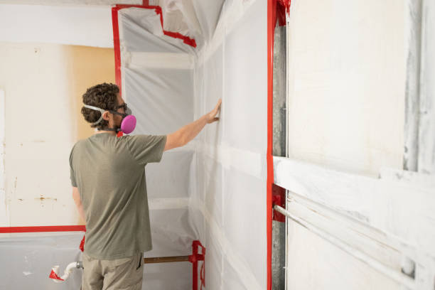 Environmental Consulting for Mold Prevention in Bosque Farms, NM